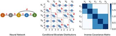 Statistical Perspective on Functional and Causal Neural Connectomics: A Comparative Study